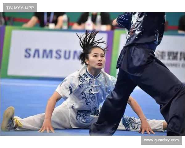 传统武术套路评分标准化难题与各派争议探析